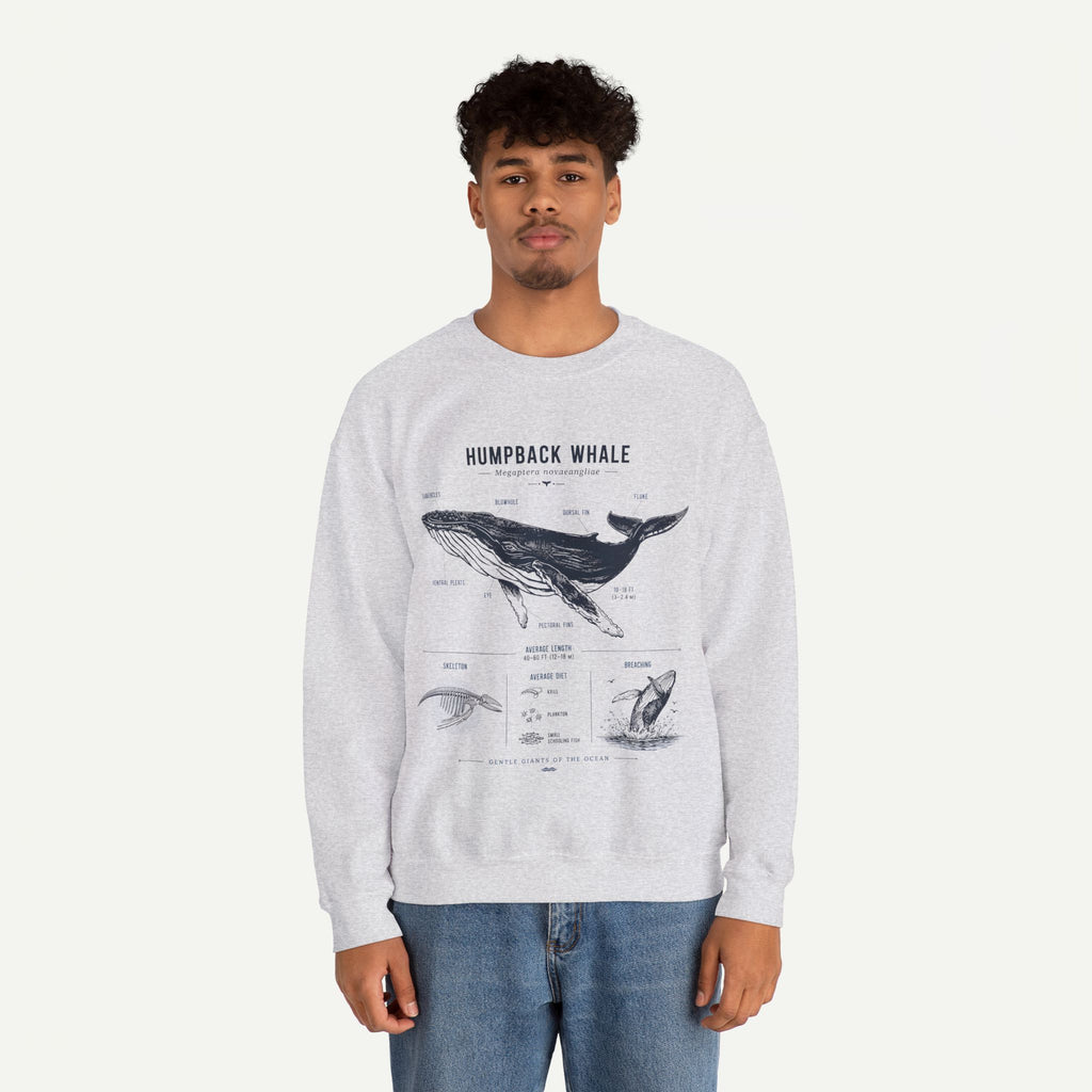 Humpback Whale Anatomy Sweatshirt