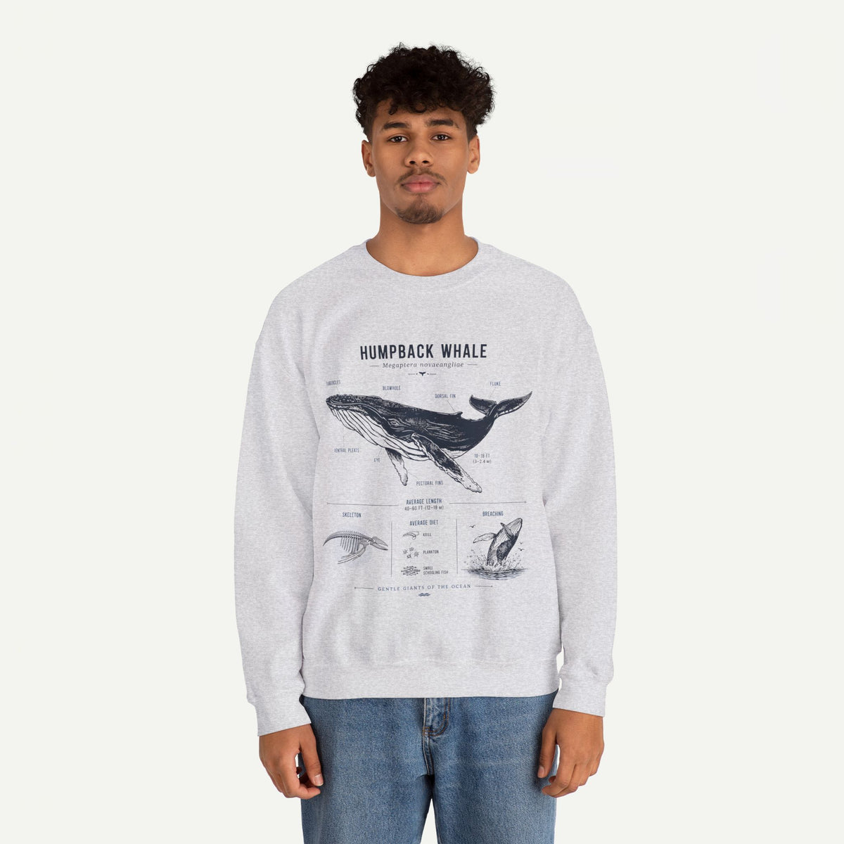 Humpback Whale Anatomy Sweatshirt