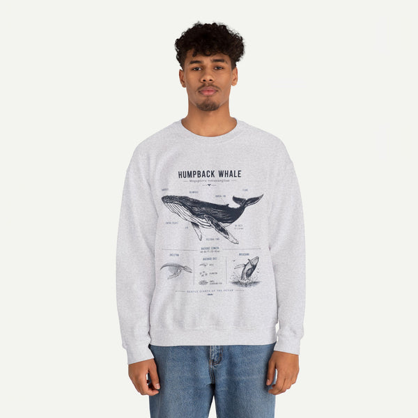 Humpback Whale Anatomy Sweatshirt