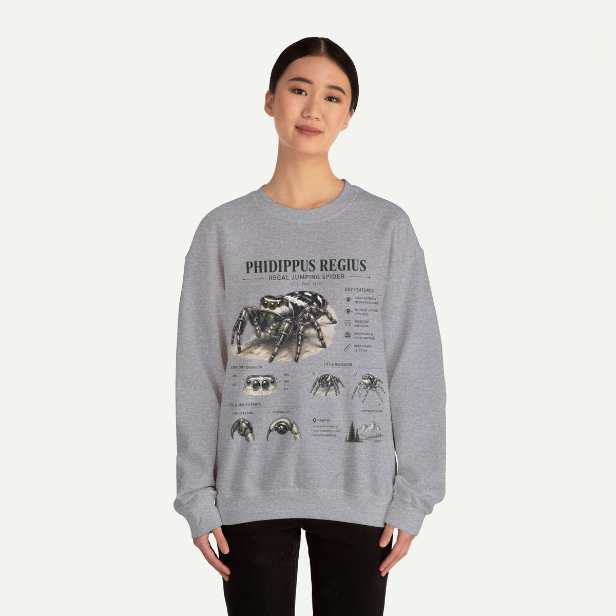 Spider Anatomy Crewneck Sweatshirt — Phidippus Regius Jumping Spider Illustration