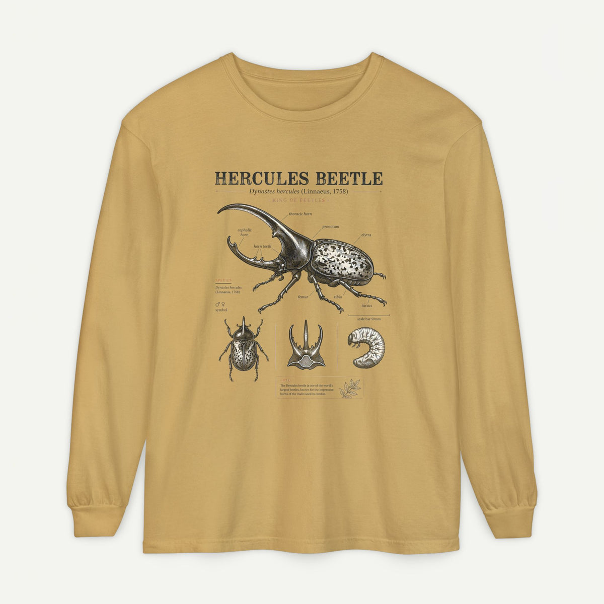 Hercules Beetle Anatomy Long Sleeve Tee