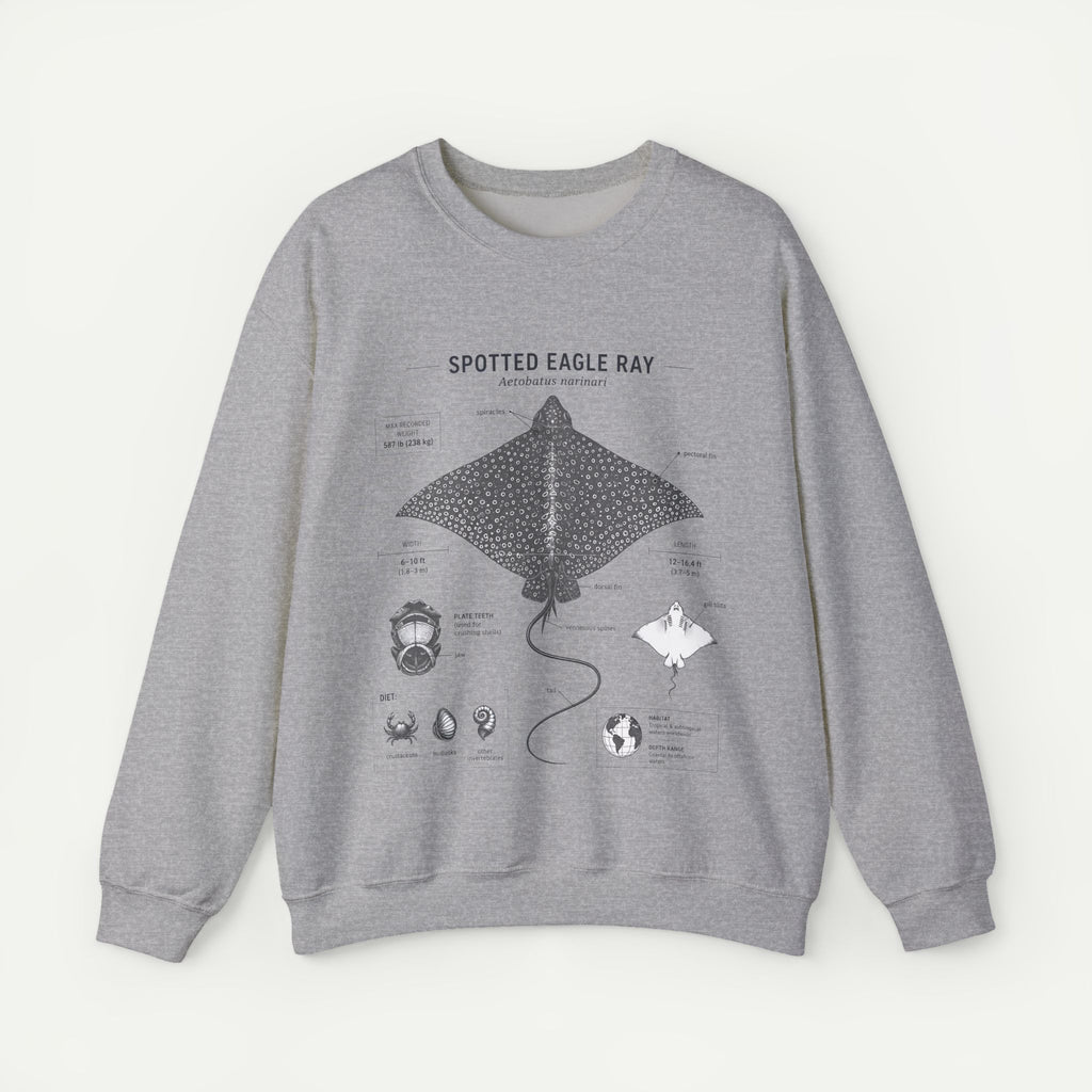 Spotted Eagle Ray Anatomy Sweatshirt – Marine Biology Illustration