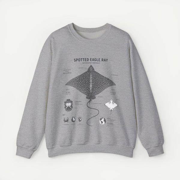 Spotted Eagle Ray Anatomy Sweatshirt – Marine Biology Illustration