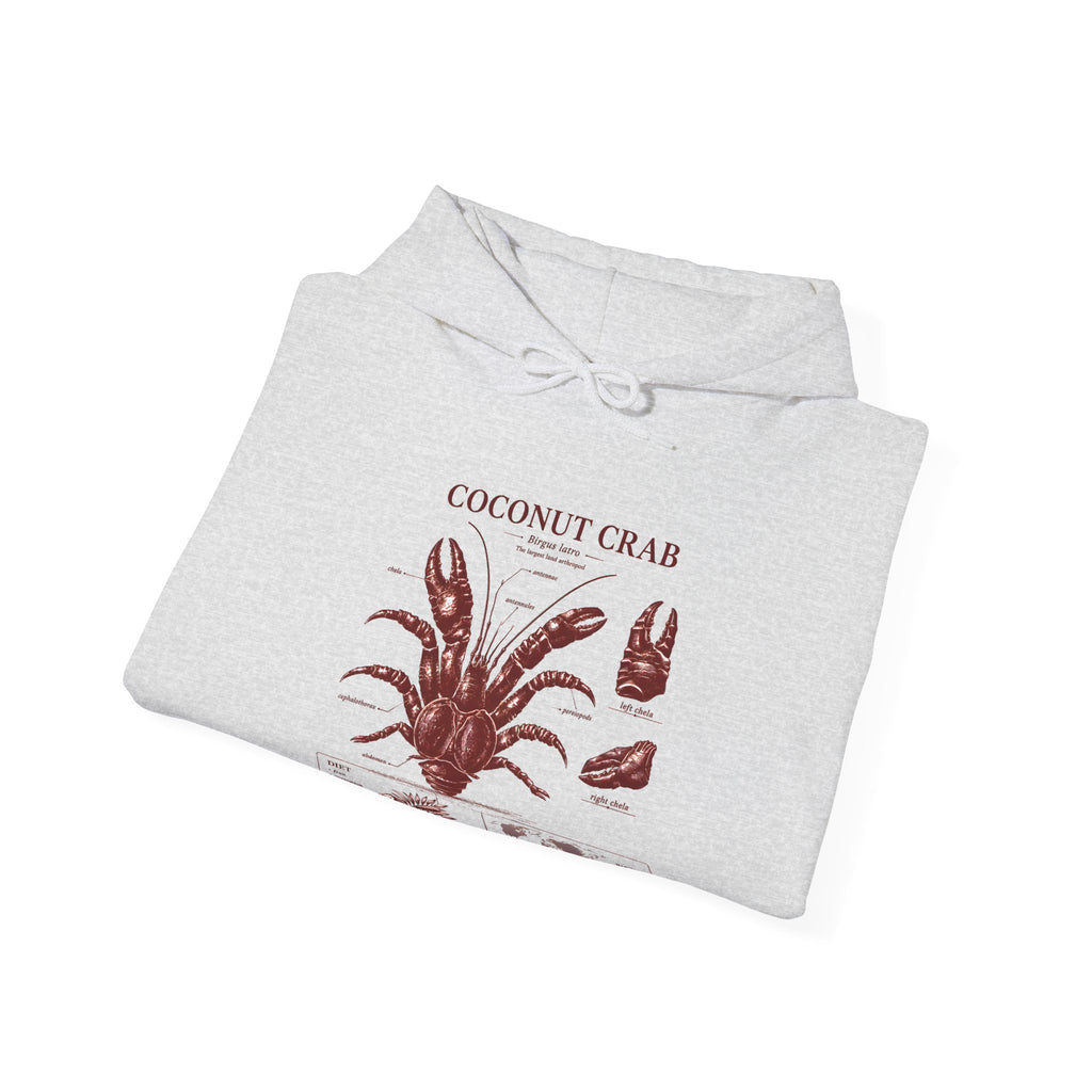 Coconut Crab Anatomy Hoodie — Vintage Botanical & Marine Study Print
