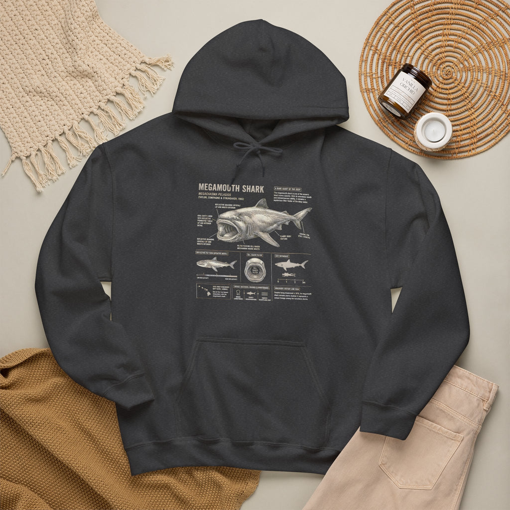 Shark Anatomy Hoodie — Vintage Megalodon Illustration Pullover