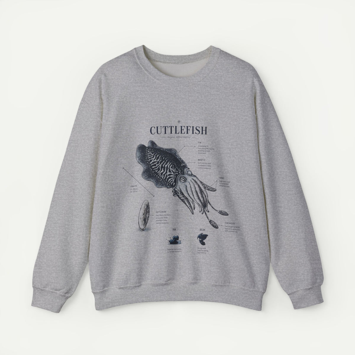 Cuttlefish Anatomy Crewneck Sweatshirt