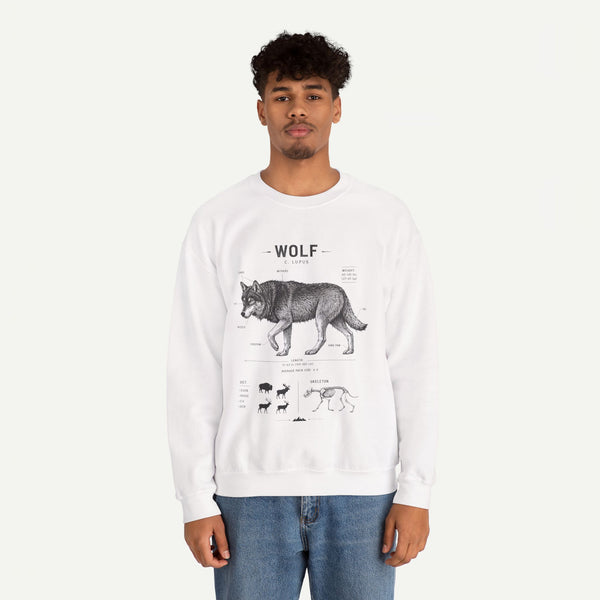Wolf Anatomy Crewneck Sweatshirt