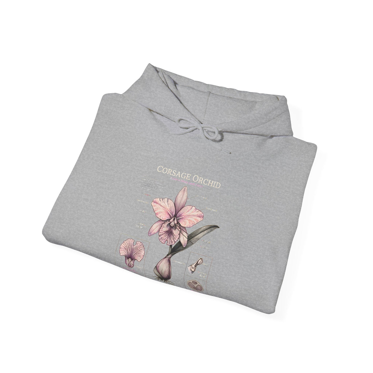 Orchid Botanical Hoodie — Cattleya Orchid Illustration Floral Pullover