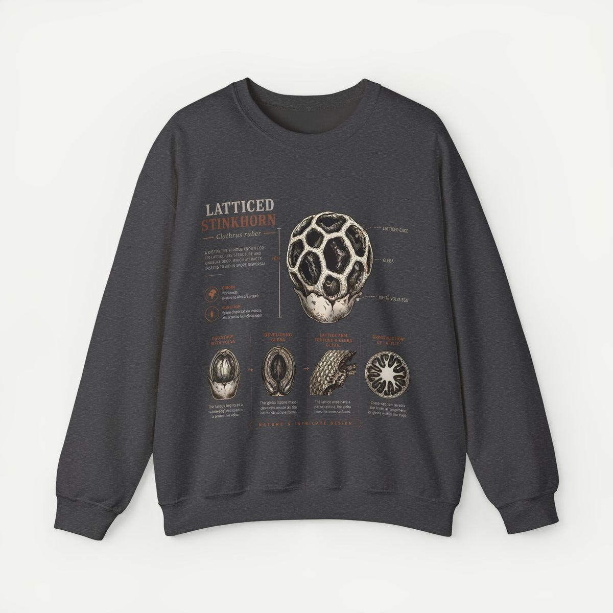 Mushroom Anatomy Sweatshirt – Latticeed Stinkhorn Mycology Crewneck