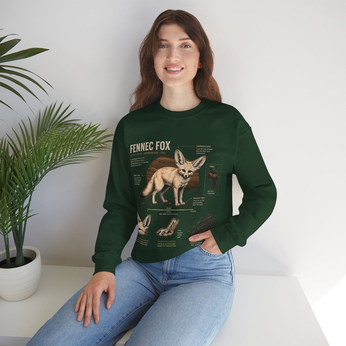 Fennec Fox Anatomy Sweatshirt – Wildlife Anatomy Crewneck