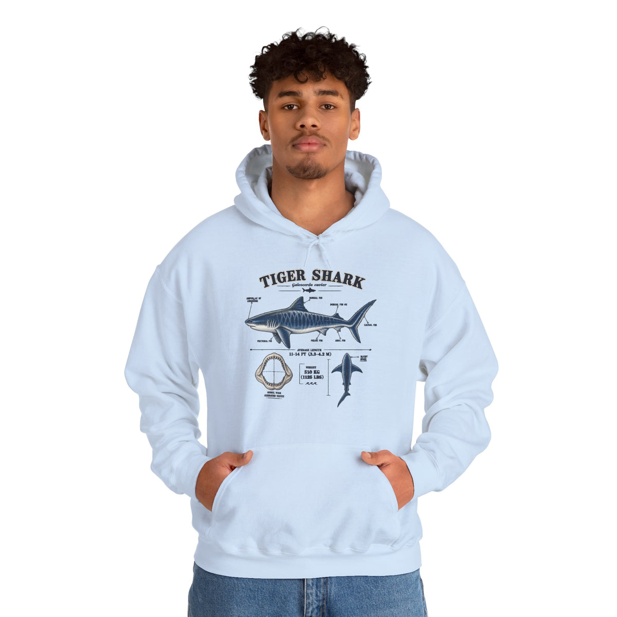 Tiger Shark Anatomy Hoodie — Nautical Science Graphic Pullover