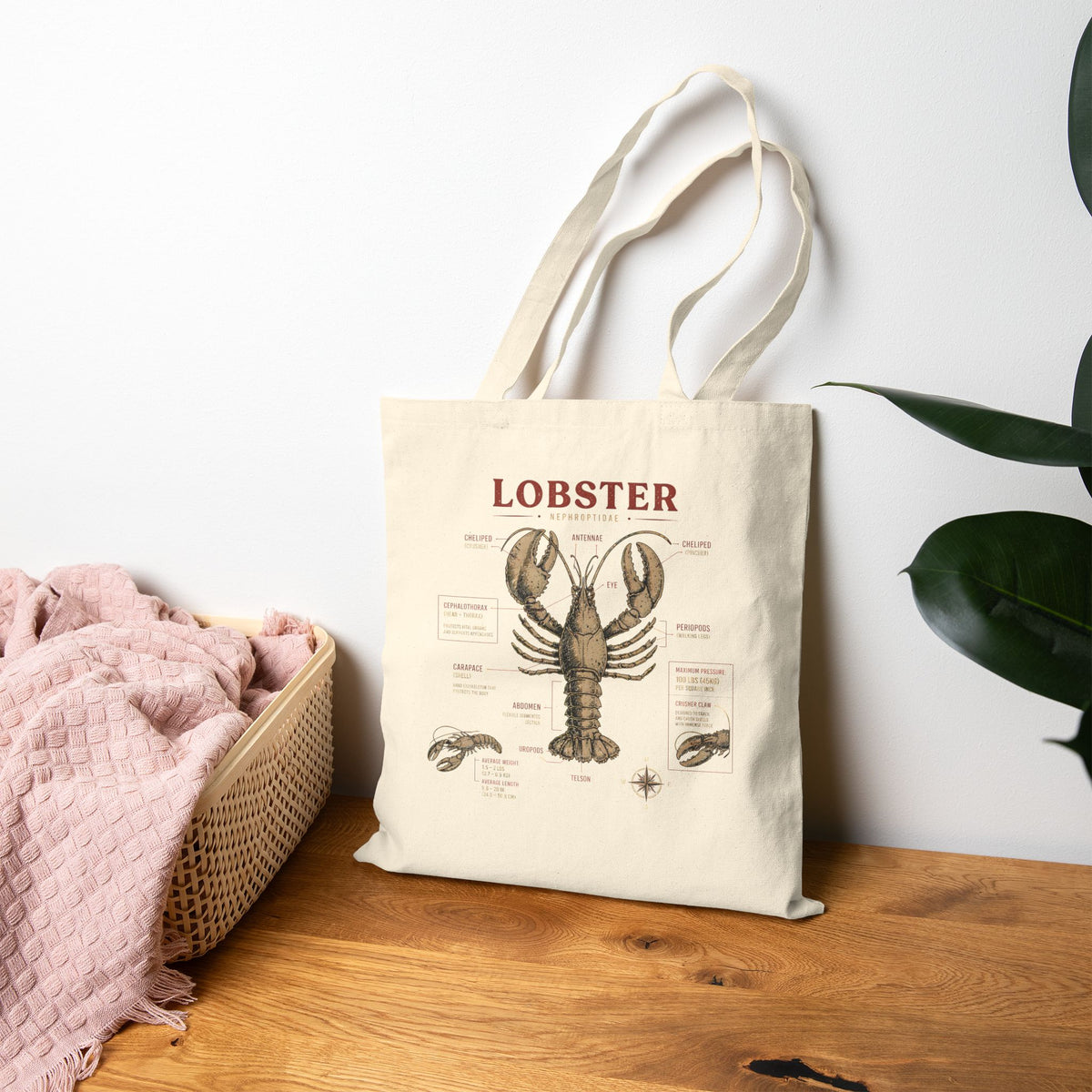 Lobster Anatomy Canvas Tote Bag — Vintage Seafood Illustration Grocery Market Tote
