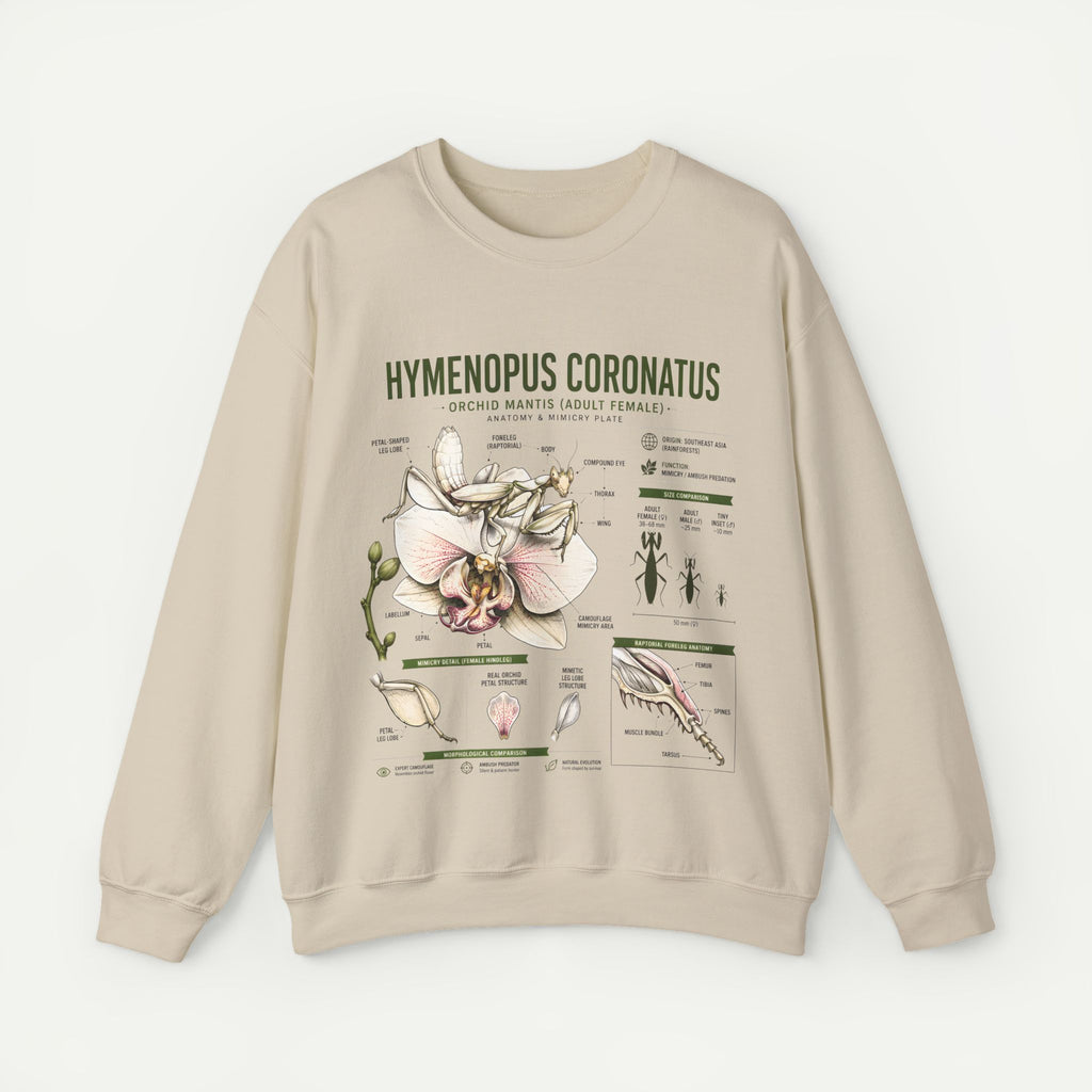 Botanical Anatomy Sweatshirt — Hymenopus Coronatus Illustration