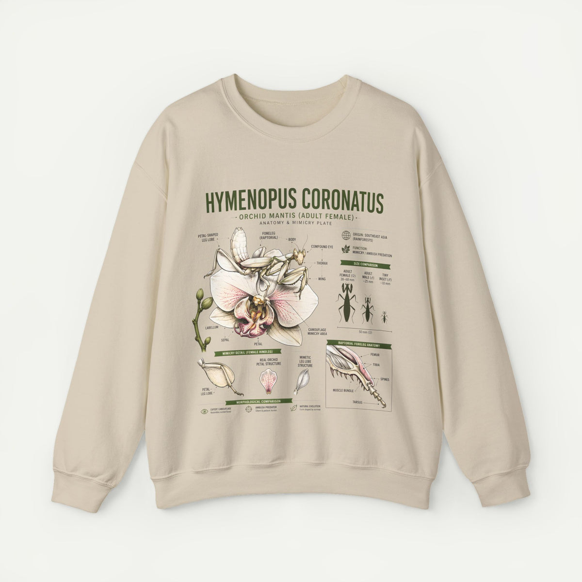 Botanical Anatomy Sweatshirt — Hymenopus Coronatus Illustration