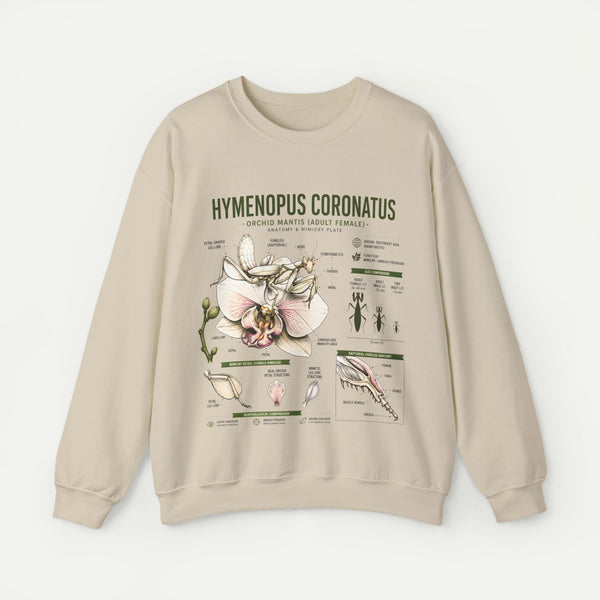 Botanical Anatomy Sweatshirt — Hymenopus Coronatus Illustration