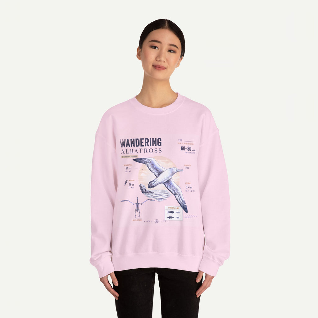 Wandering Albatross Anatomy Sweatshirt — Vintage Seabird Illustration