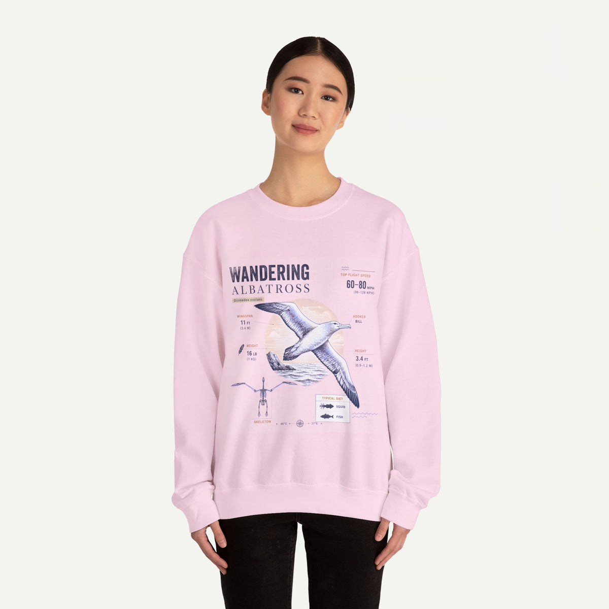 Wandering Albatross Anatomy Sweatshirt — Vintage Seabird Illustration