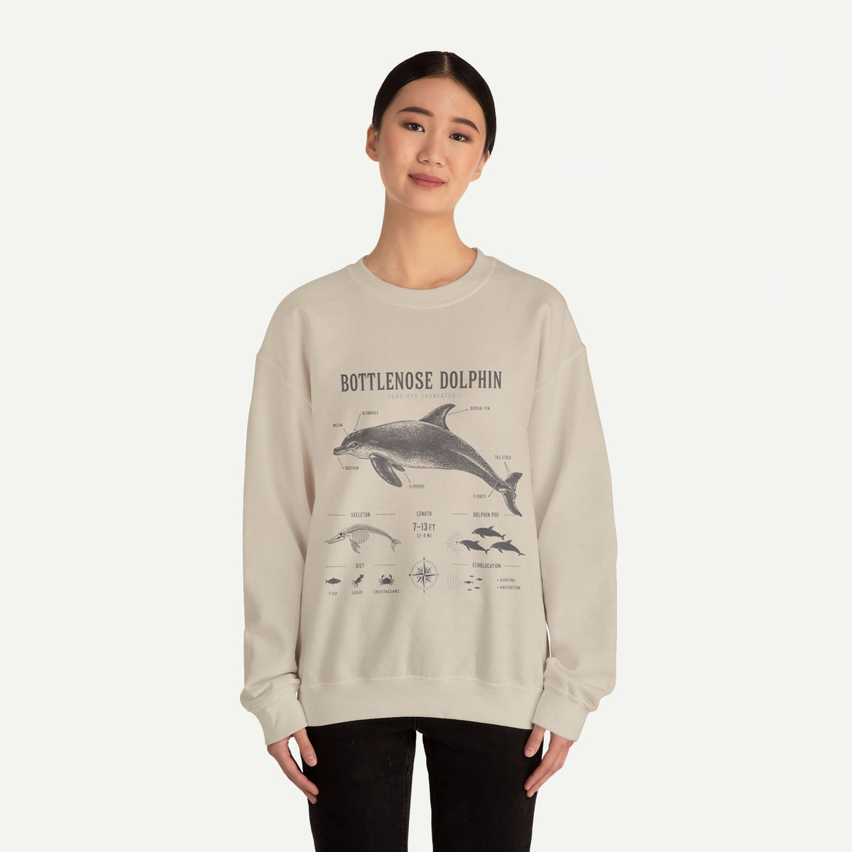 Bottlenose Dolphin Sweatshirt – Marine Life Educational Graphic