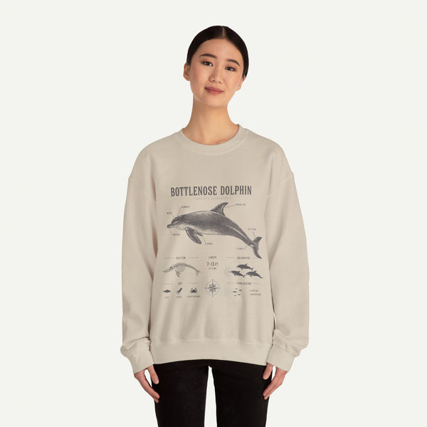Bottlenose Dolphin Sweatshirt – Marine Life Educational Graphic