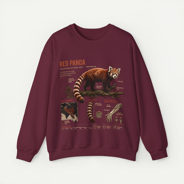 Red Panda Anatomy Sweatshirt — Vintage Wildlife Crewneck