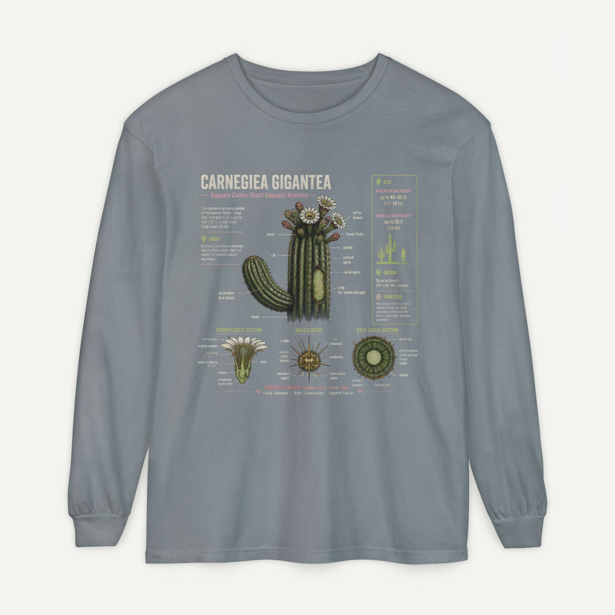 Saguaro Anatomy Long Sleeve Tee — Carnegiea Gigantea Cactus Diagram