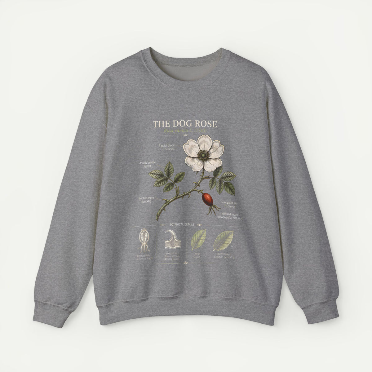 Dog Rose Botanical Sweatshirt — Vintage Floral Anatomy Crewneck