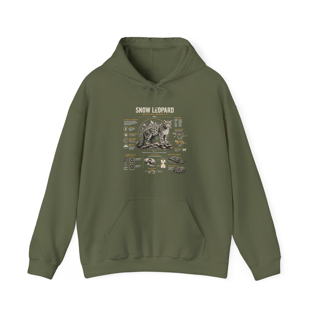 Bear Anatomy Hoodie — Vintage Wildlife Illustration Sweatshirt