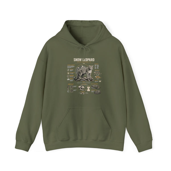 Bear Anatomy Hoodie — Vintage Wildlife Illustration Sweatshirt