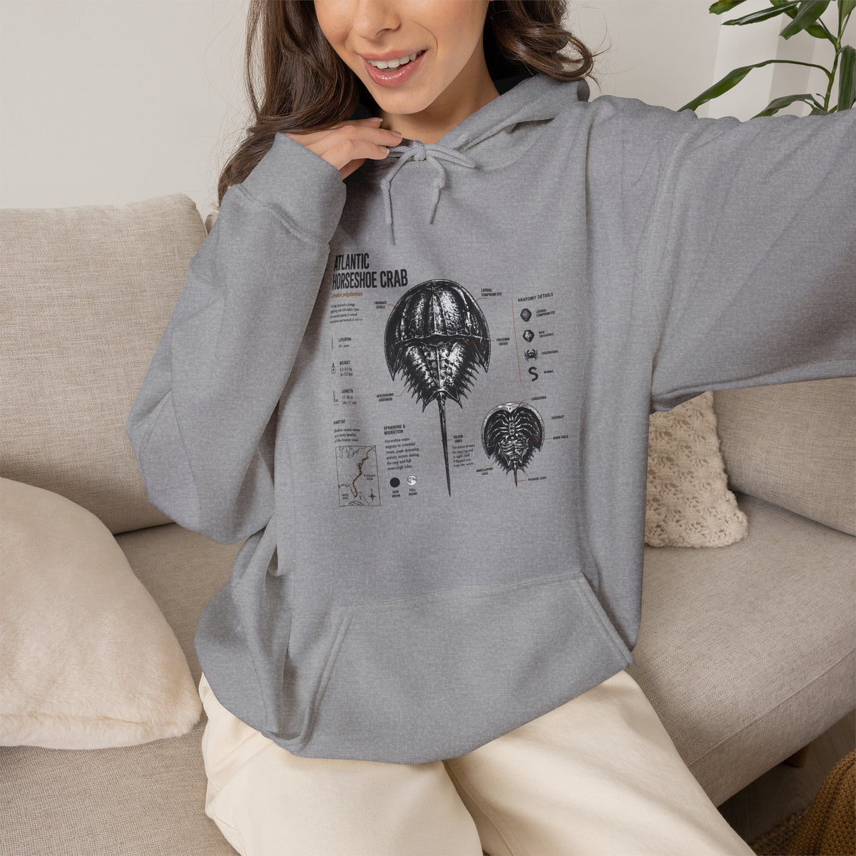 Horseshoe Crab Anatomy Hoodies