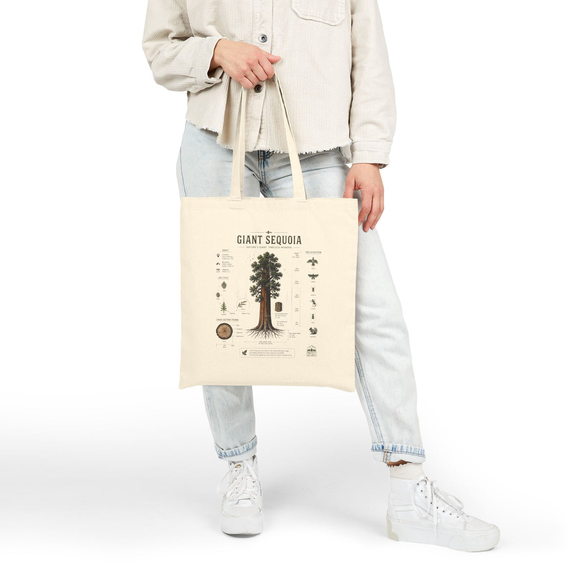 Giant Sequoia Canvas Tote Bag – Botanical Tree Illustration Eco Grocery Bag