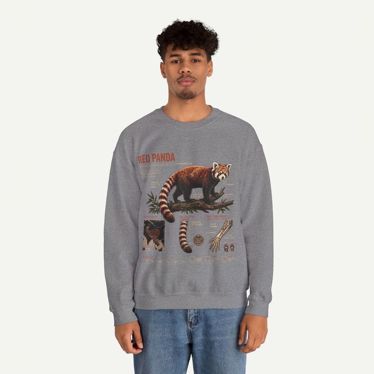 Red Panda Anatomy Sweatshirt — Vintage Wildlife Crewneck