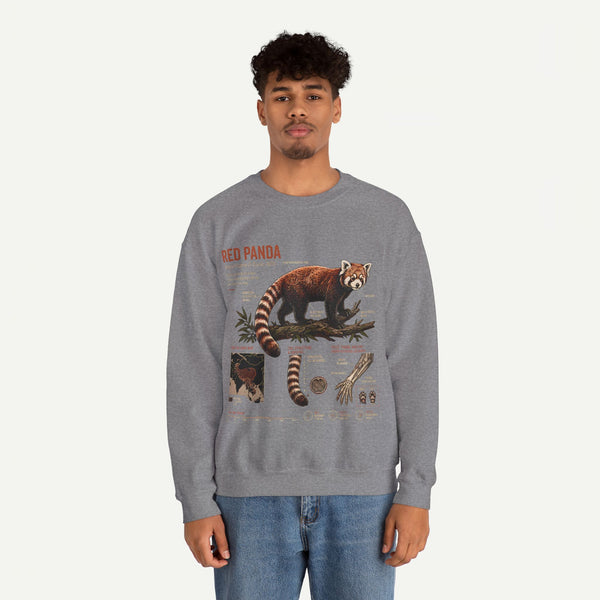 Red Panda Anatomy Sweatshirt — Vintage Wildlife Crewneck
