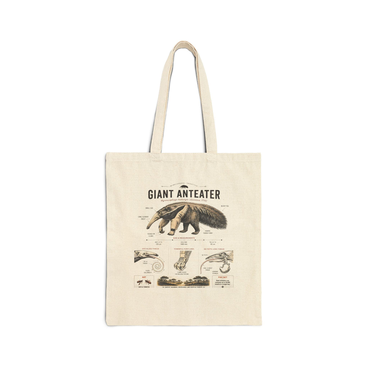 Giant Anteater Anatomy Tote Bag – Vintage Wildlife Diagram Cotton Canvas Main image