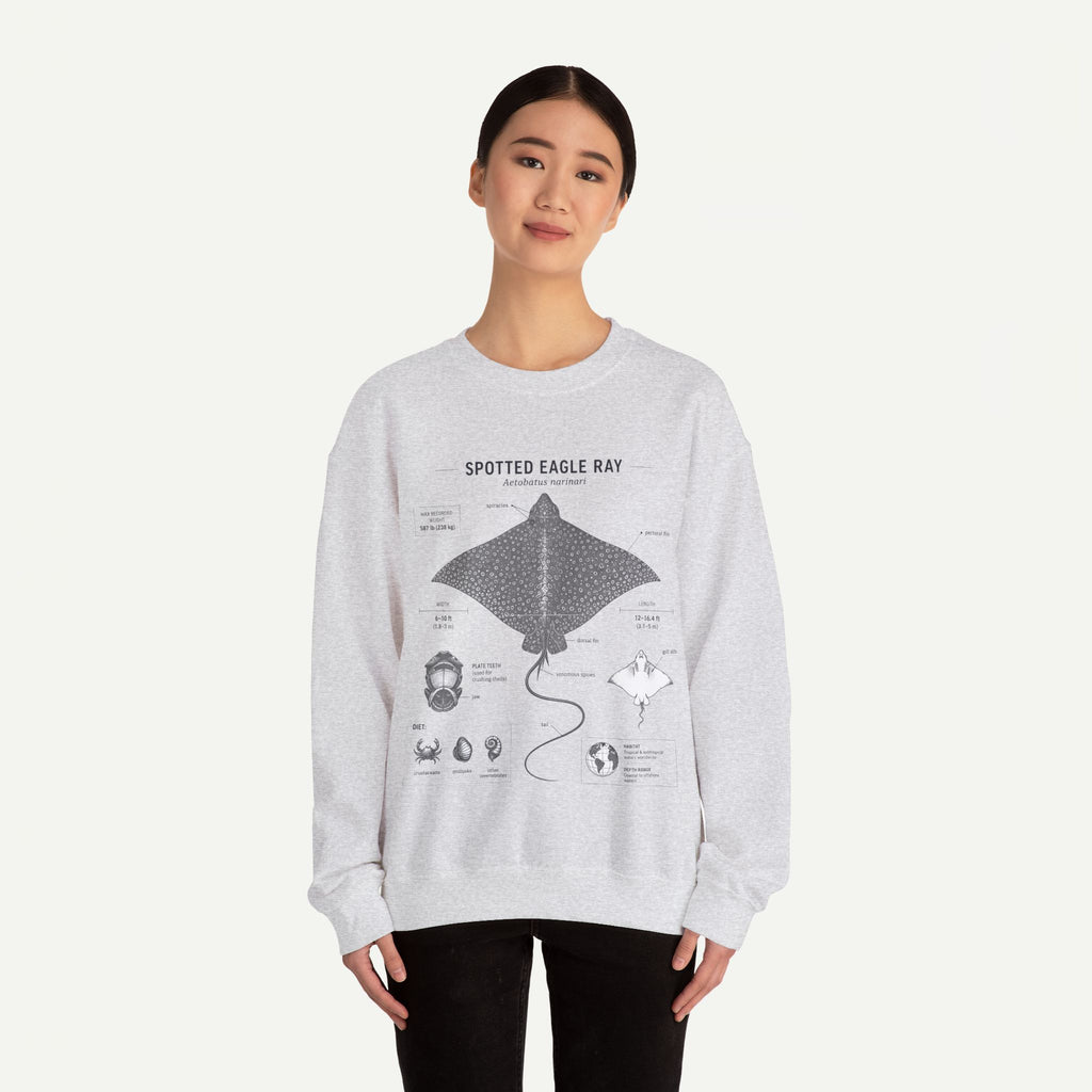 Spotted Eagle Ray Anatomy Sweatshirt – Marine Biology Illustration