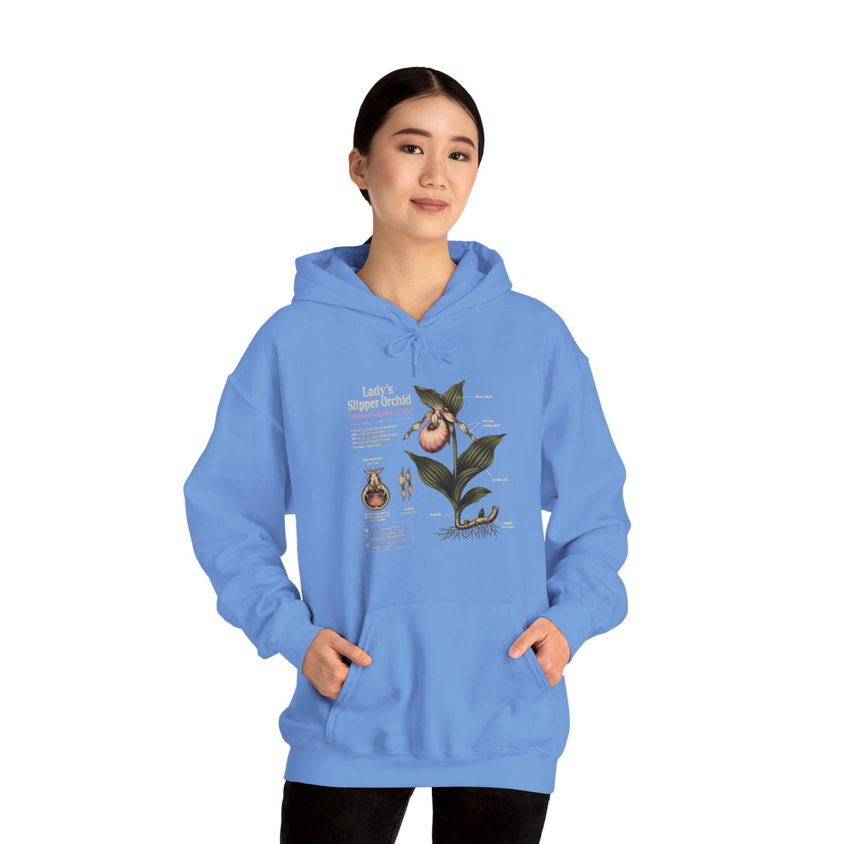 Botanical Peach Illustration Hoodie — Vintage Botanical Chart Sweatshirt