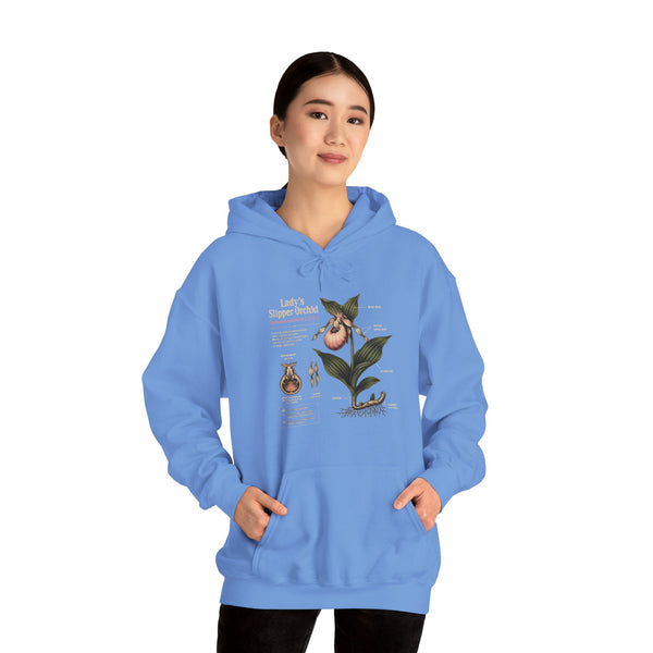 Botanical Peach Illustration Hoodie — Vintage Botanical Chart Sweatshirt