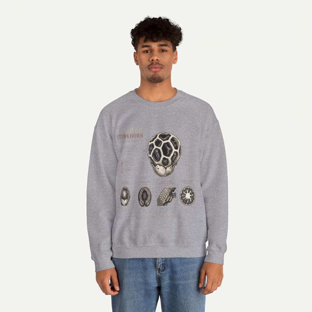 Mushroom Anatomy Sweatshirt – Latticeed Stinkhorn Mycology Crewneck