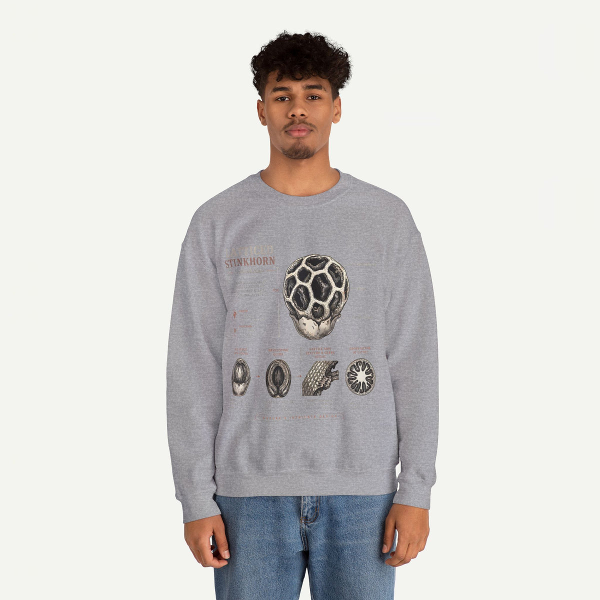 Mushroom Anatomy Sweatshirt – Latticeed Stinkhorn Mycology Crewneck