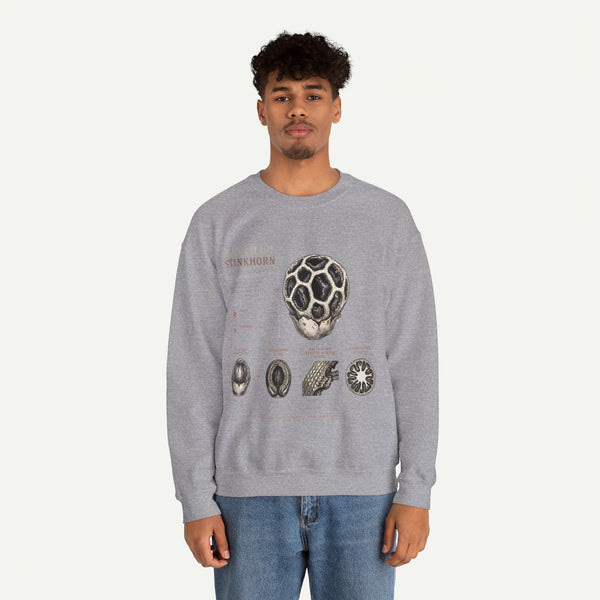 Mushroom Anatomy Sweatshirt – Latticeed Stinkhorn Mycology Crewneck