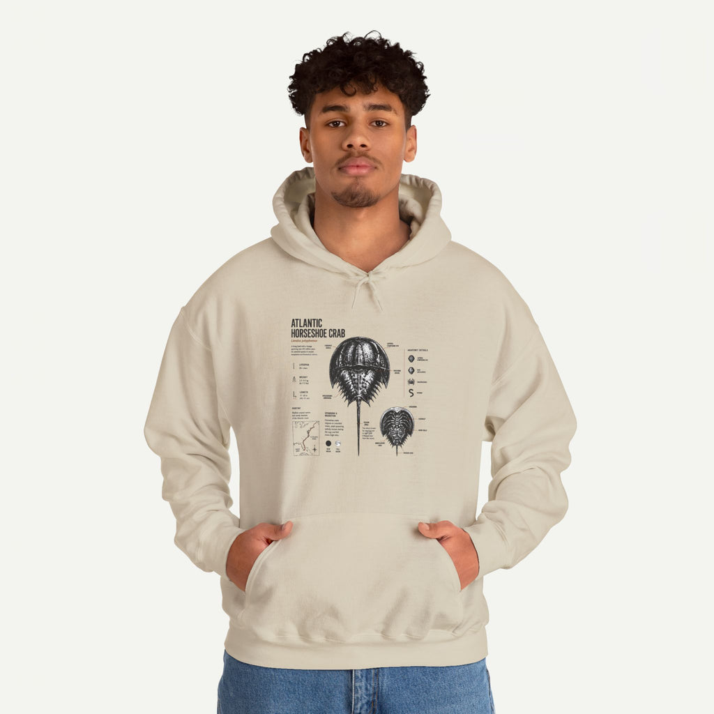 Horseshoe Crab Anatomy Hoodies