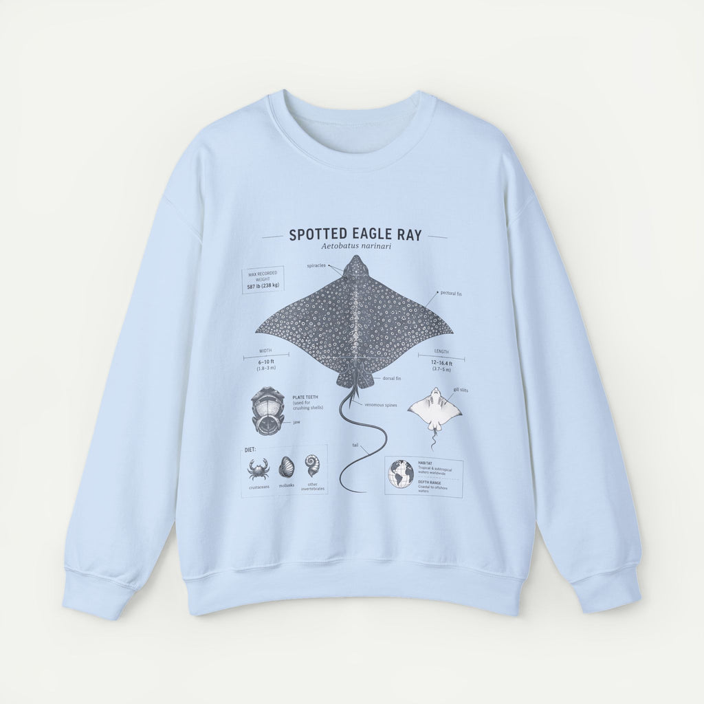 Spotted Eagle Ray Anatomy Sweatshirt – Marine Biology Illustration