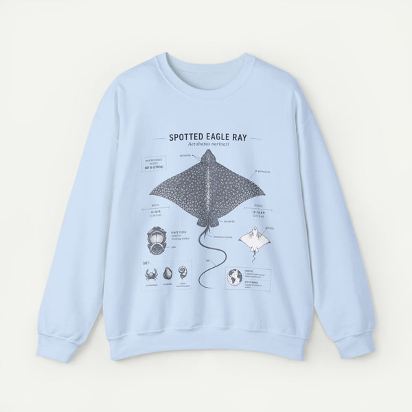 Spotted Eagle Ray Anatomy Sweatshirt – Marine Biology Illustration