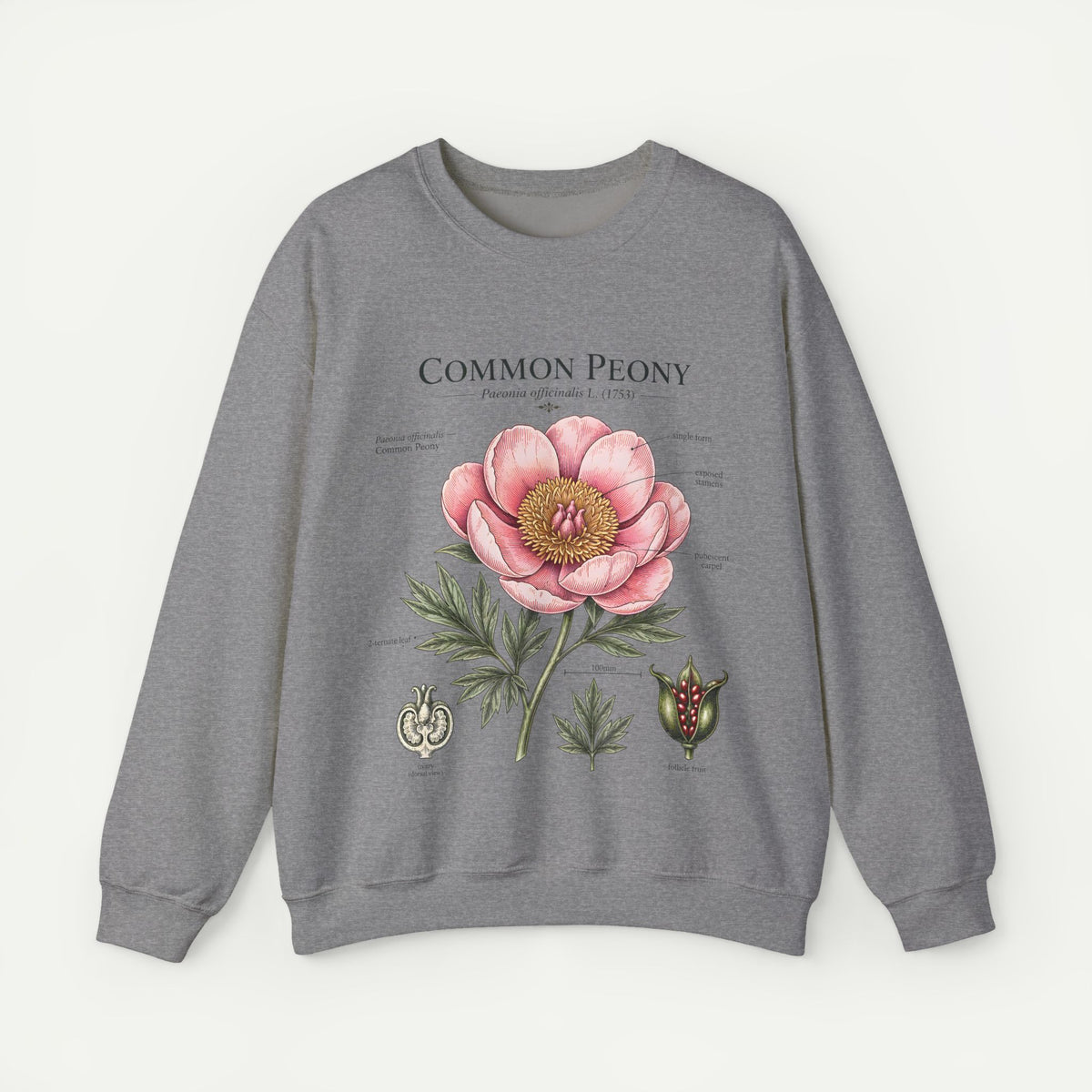 Peony Botanical Sweatshirt — "Common Peony" Floral Crewneck