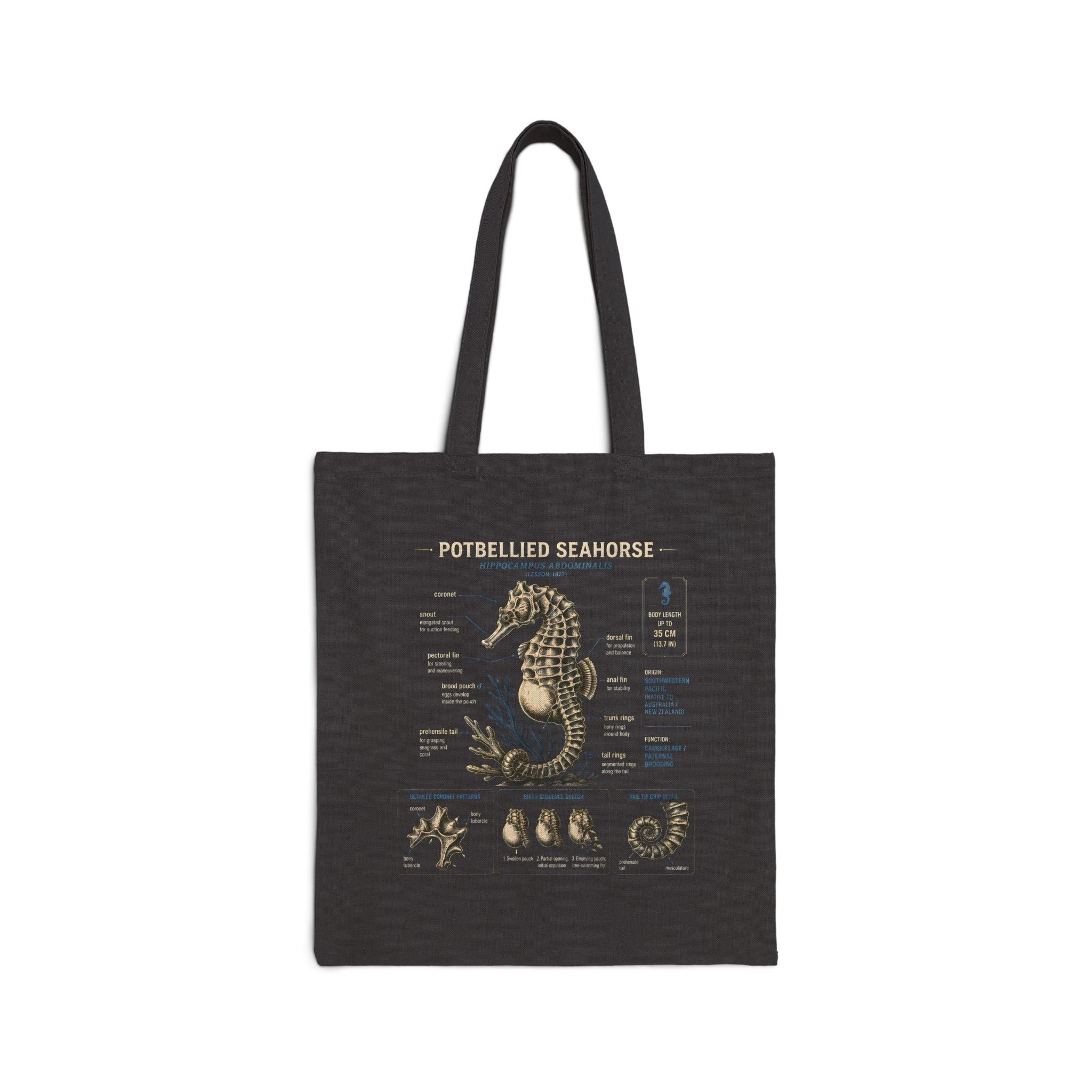 Seahorse Anatomy Canvas Tote Bag – Vintage Marine Biology Illustration Tote Secondary image