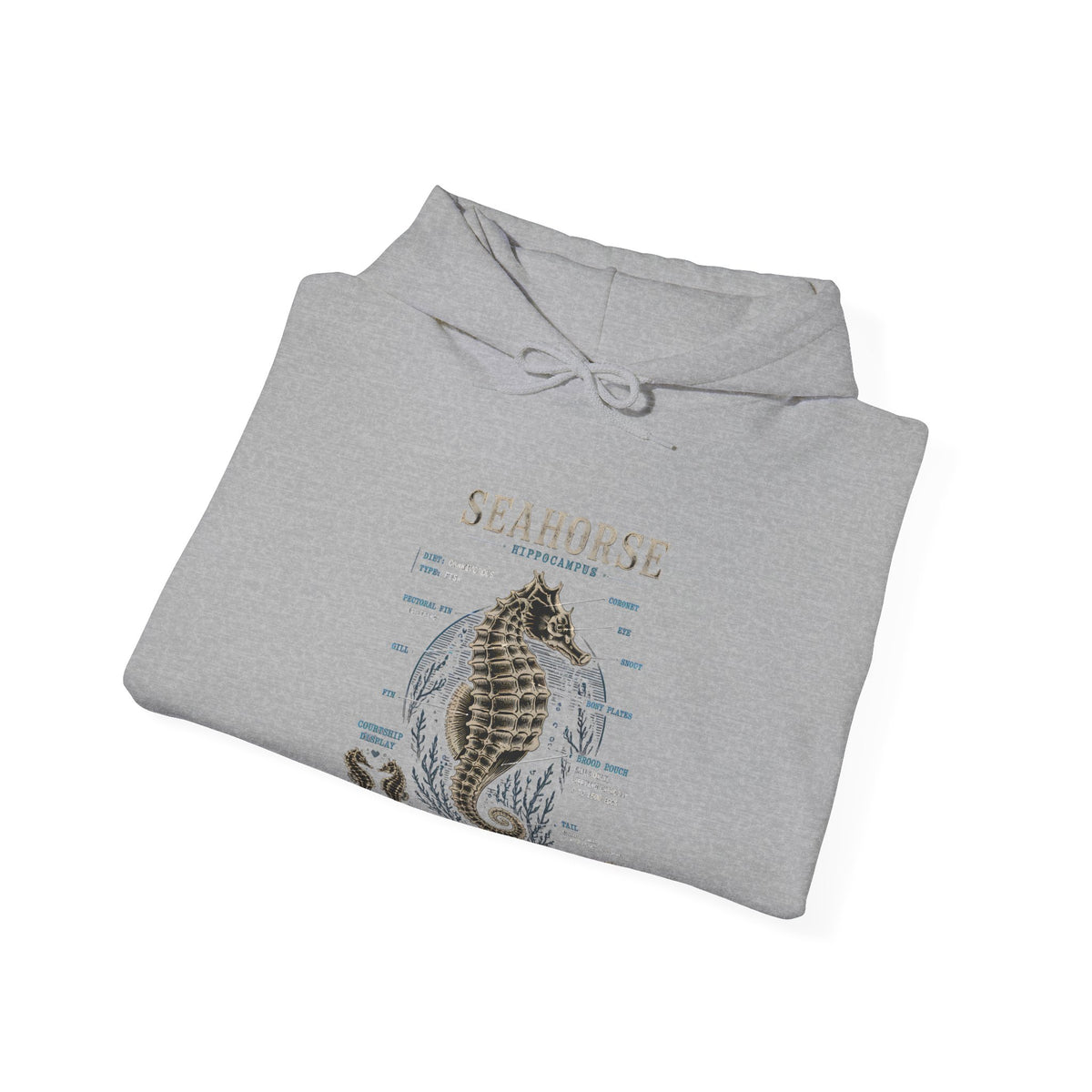 Seahorse Anatomy Hoodie — Vintage Marine Illustration Sweatshirt