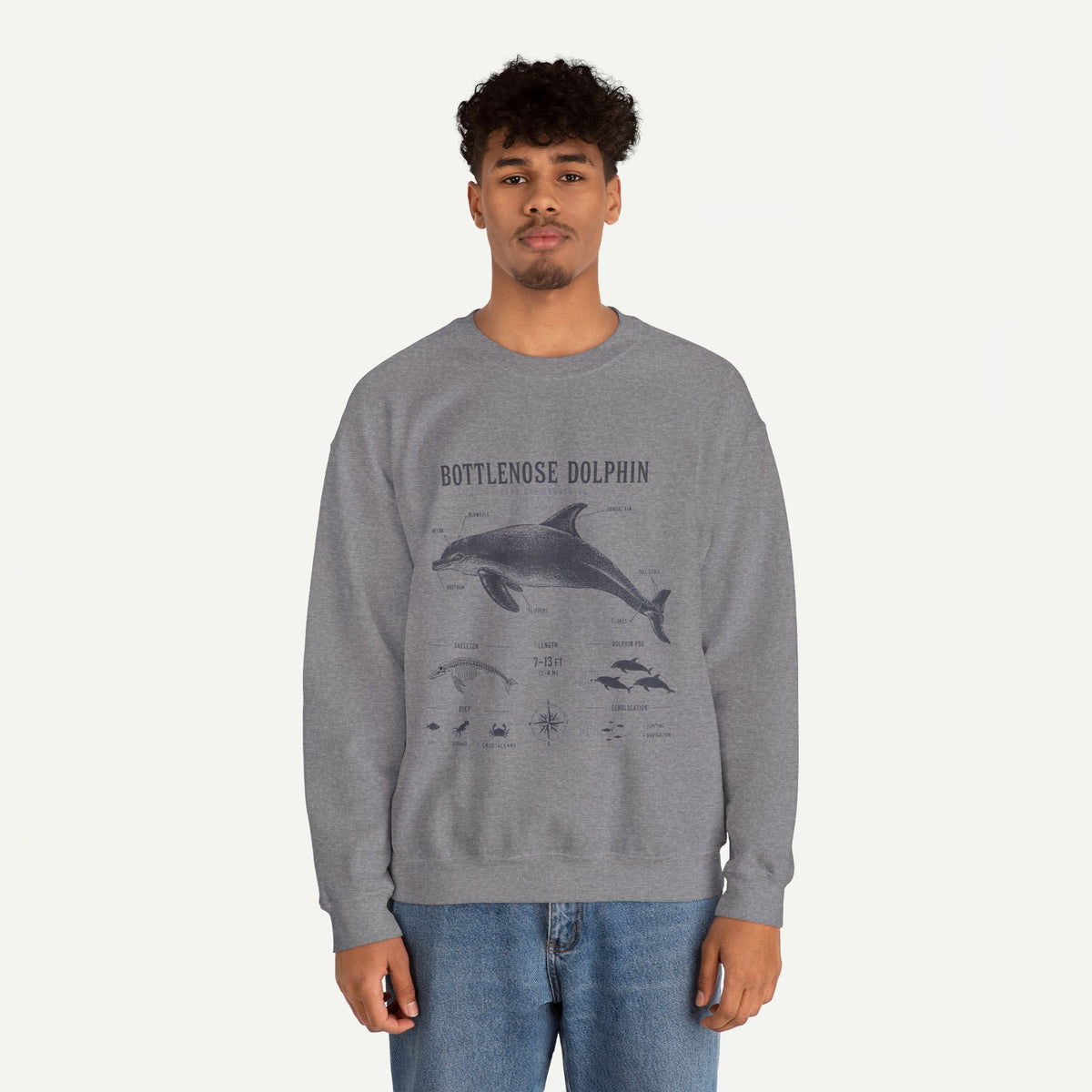 Bottlenose Dolphin Sweatshirt – Marine Life Educational Graphic