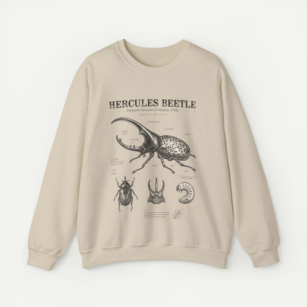Hercules Beetle Anatomy  Crewneck Sweatshirt – Vintage Entomology Graphic
