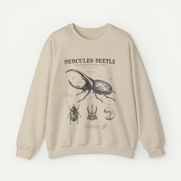 Hercules Beetle Anatomy  Crewneck Sweatshirt – Vintage Entomology Graphic