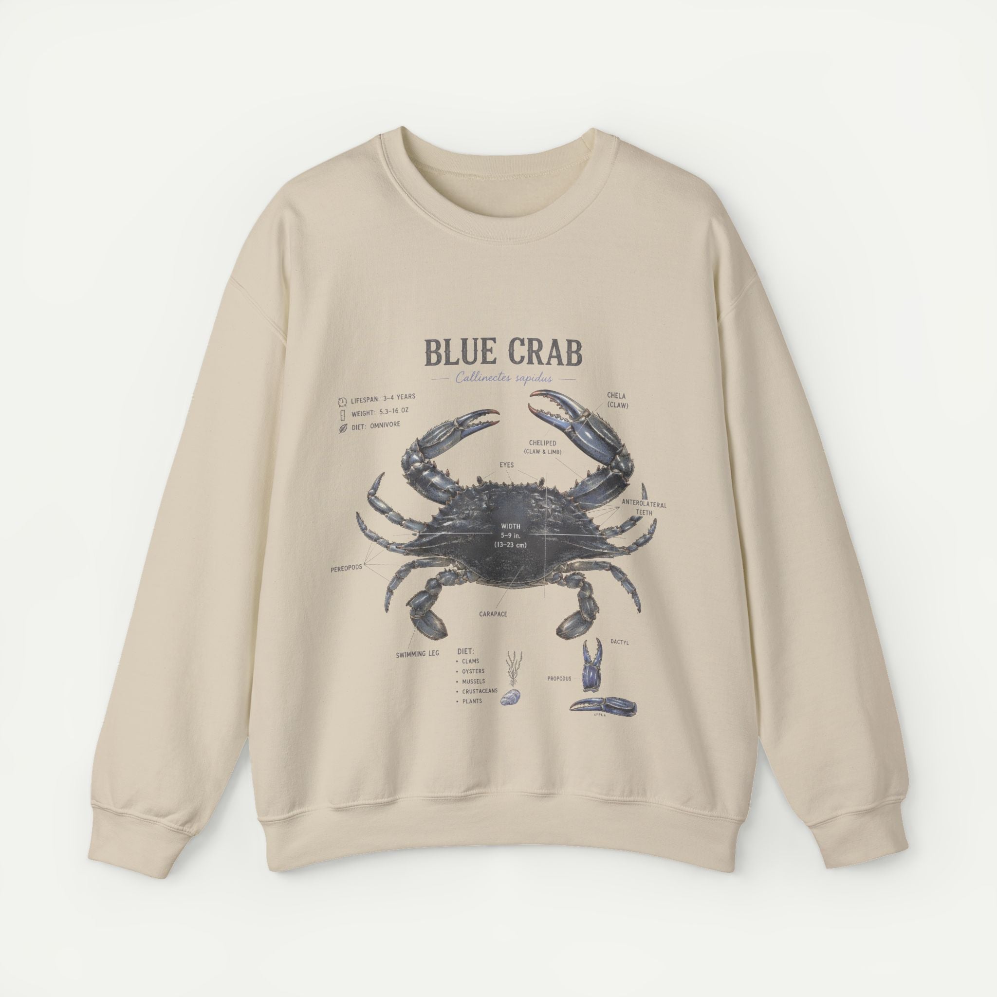 Blue Crab Sweatshirt — Vintage Nautical Marine Illustration Secondary image