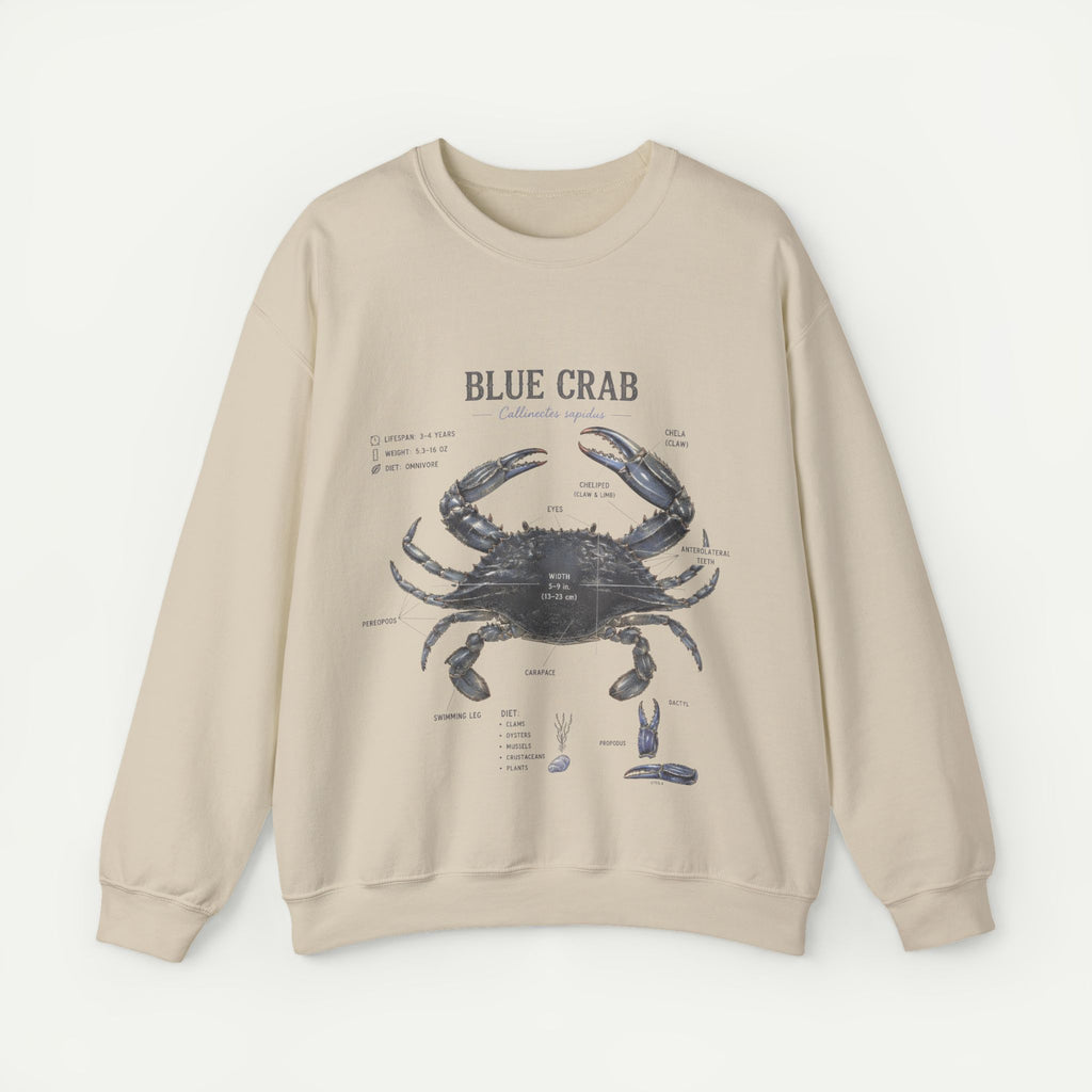 Blue Crab Sweatshirt — Vintage Nautical Marine Illustration